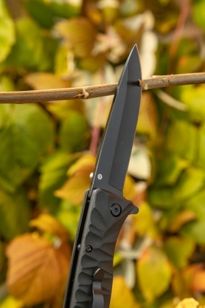 Нож складной Ganzo G620-B1 черный