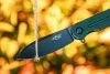 Складной нож Firebird by Ganzo FH922PT-GB D2 Steel,Green
