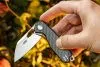 Складной нож Firebird by Ganzo FH924-CF  D2 Steel Carbon Складной нож Firebird by Ganzo FH924-CF  D2 Steel Carbon