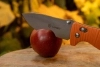 Нож складной Ganzo G720-OR оранжевый