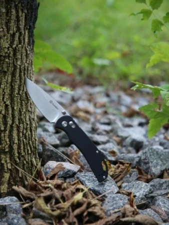 Нож складной Ganzo G7531-BK черный (Без упаковки. В зип пакете.)