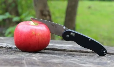 Нож Firebird by Ganzo FB727S-BK