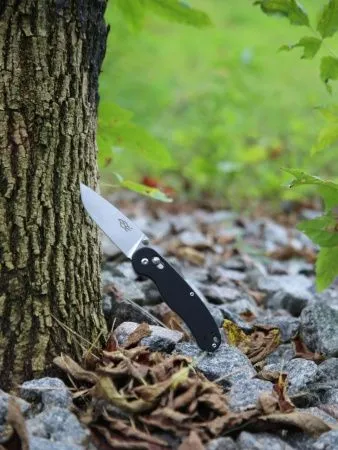 Нож Firebird by Ganzo FB727S-BK