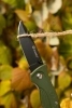 Нож складной Ganzo G611-GR зеленый