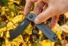 Складной нож Firebird by Ganzo FH922PT-GY D2 Steel,Grey Складной нож Firebird by Ganzo FH922PT-GY D2 Steel,Grey
