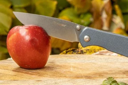 Нож складной Ganzo G6804-GY   серый