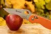 Нож Ganzo G729 оранжевый, G729-OR