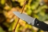 Нож складной Ganzo G704-BK черный