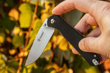 Нож складной Ganzo G6804-BK черный